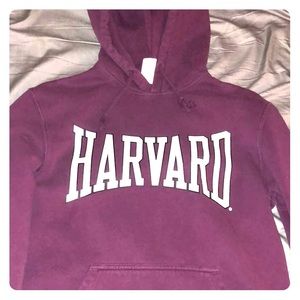 A Harvard sweatshirt!